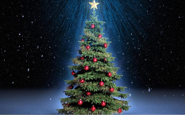 Trang trí cây thông Noel với những ngôi sao đơn giản nhưng độc lạ